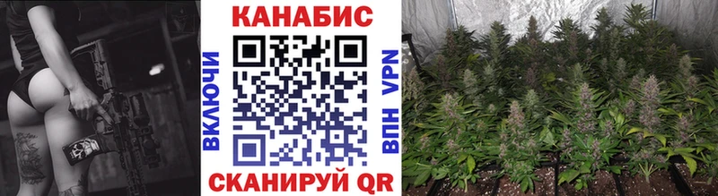 OMG онион  Волгоград  Бошки марихуана семена  сайты даркнета телеграм  наркота 